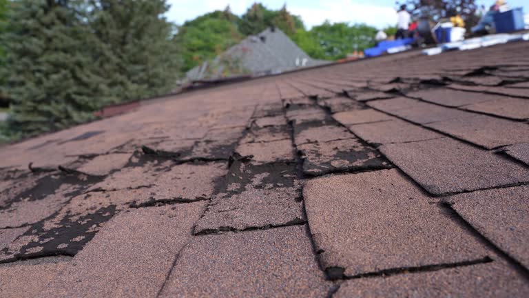 Best Asphalt Shingle Roofing  in Lake Shore, MD
