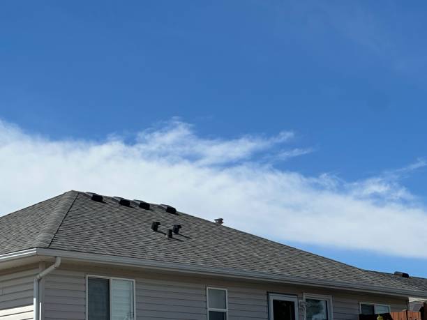 Best Emergency Roof Repair Services  in Lake Shore, MD